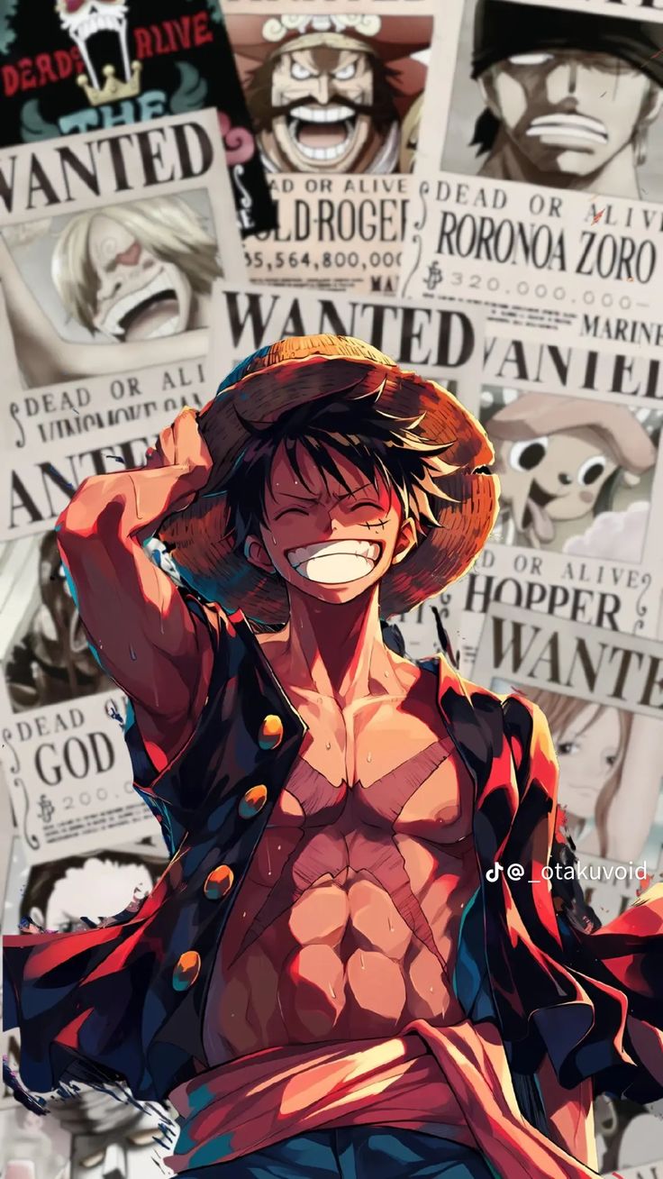 Monkey D. Luffy - Straw Hat, Future King of the Pirates