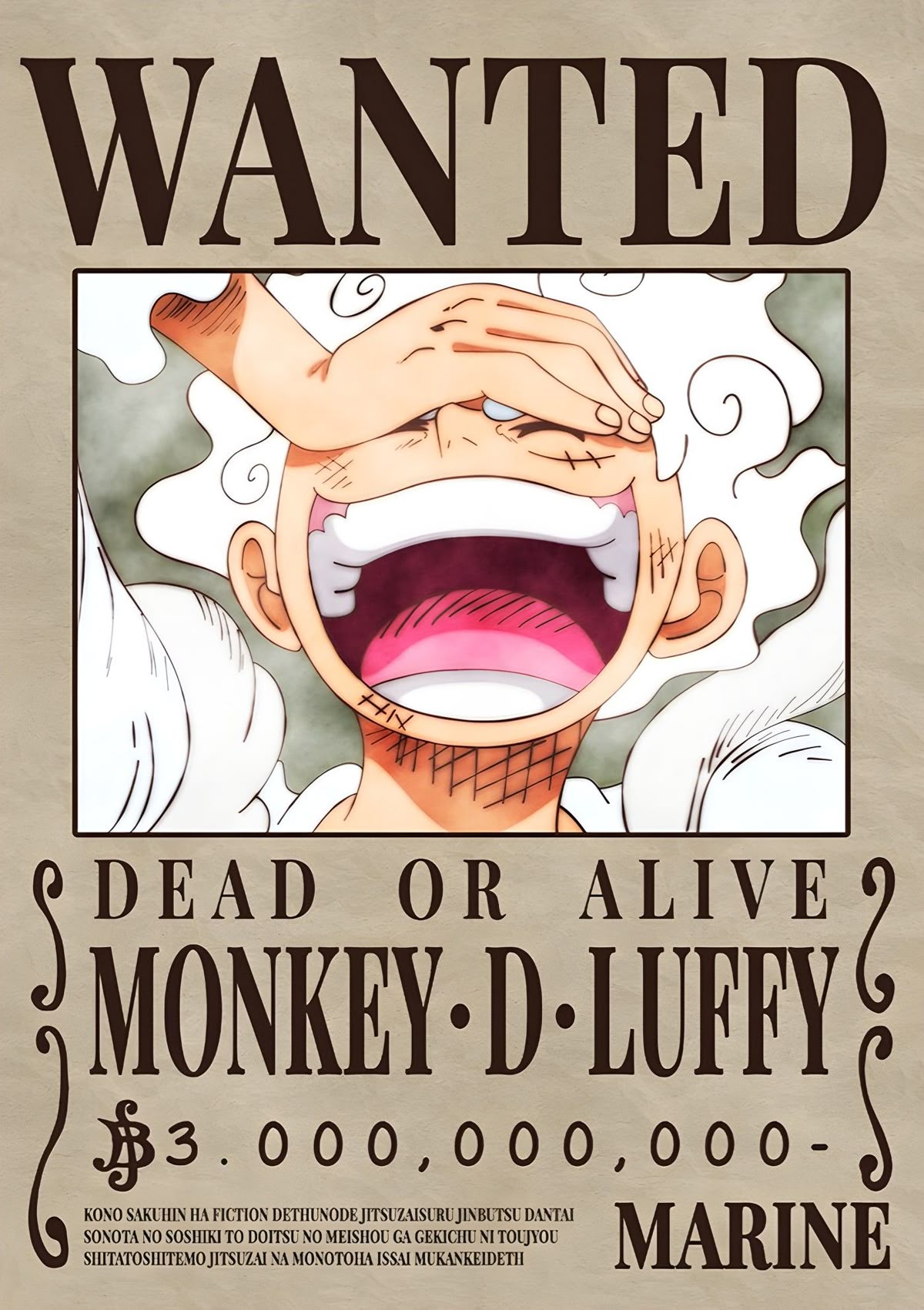 Monkey D. Luffy - Straw Hat, Future King of the Pirates
